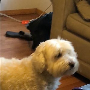 Meet your Posher, Andrew